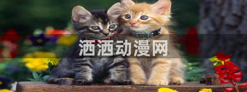 里番动漫影院：洒洒动漫网