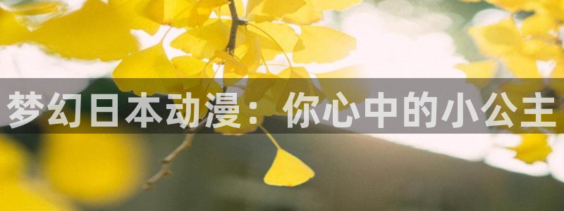 里番网acg漫画：梦幻日本动漫：你心中的小公主