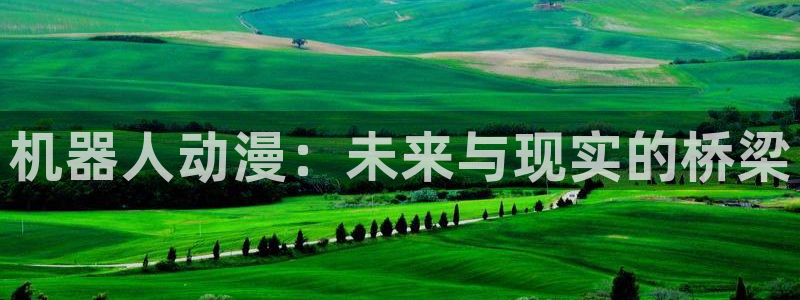 里番漫画本子全彩：机器人动漫：未来与现实的桥梁