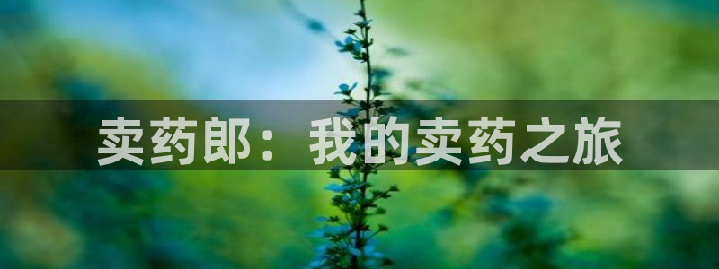 里番漫画在线网站：卖药郎：我的卖药之旅