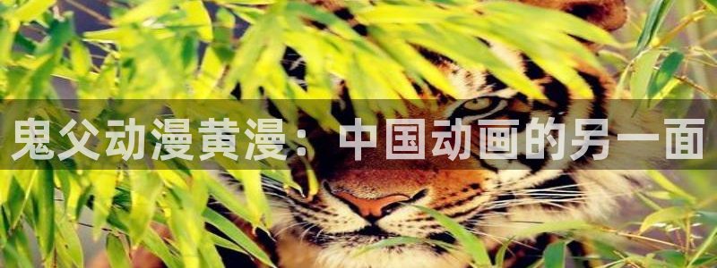 里番漫画之海贼王：鬼父动漫黄漫：中国动画的另一面