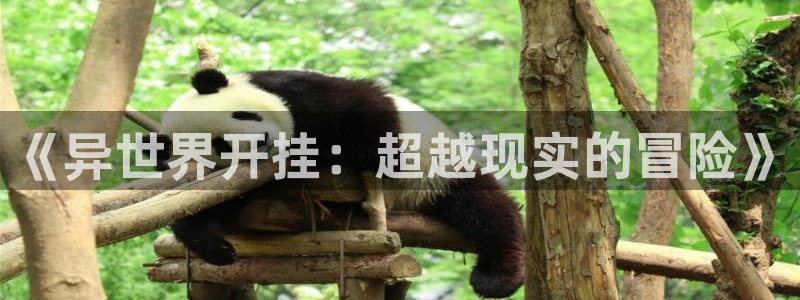 里番大全：《异世界开挂：超越现实的冒险》