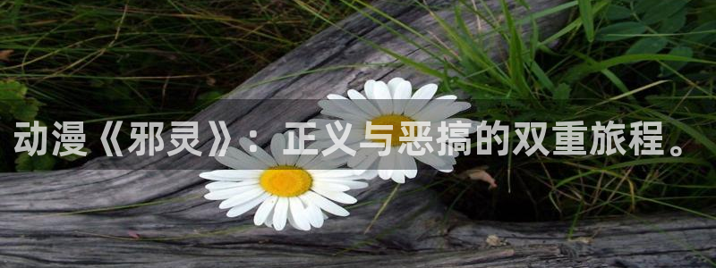 动漫里番库：动漫《邪灵》：正义与恶搞的双重旅程。