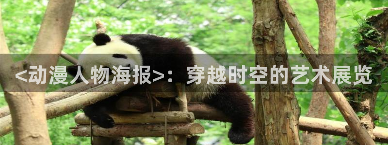 好看的里番动漫推荐：<动漫人物海报>：穿越时空的艺术展览
